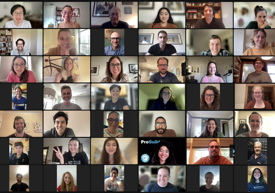 Screenshot of a Zoom call with members of the newly formed ProPublica Guild